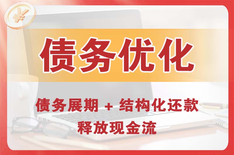 大关债务优化